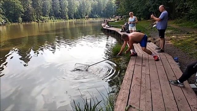 Клёвое место, Лосиный остров. Приманка на сома. Поимки и вываживание сома. смотреть онлайн