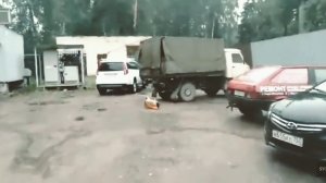 кега взорвалась собака не выжила (моя версия)