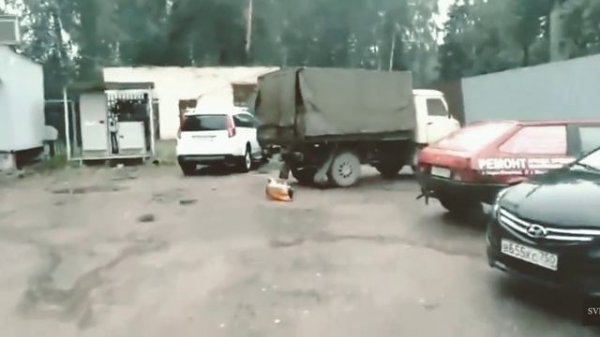 кега взорвалась собака не выжила (моя версия)