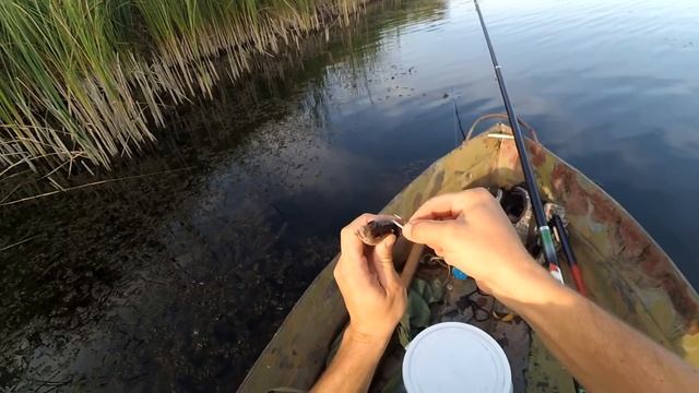 Как оснастить поплавочную удочку на щуку. Щука на поплавок смотреть онлайн