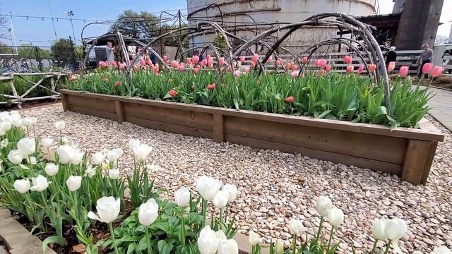 Spring At The Silos 2023 | Magnolia Market Spring 2023 смотреть онлайн