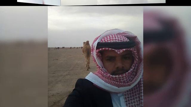 #ثائر #ابوتايه #الحويطات смотреть онлайн
