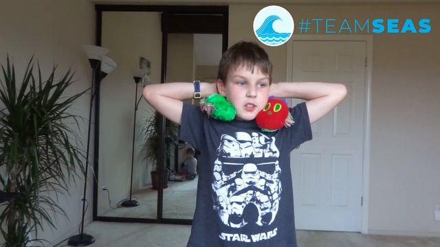 Вытащим из океана 30 000 000 фунтов мусора! #TeamSeas смотреть онлайн