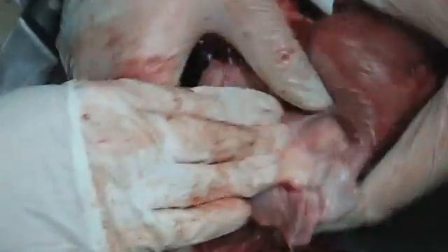 dns sekcja 144 смотреть онлайн