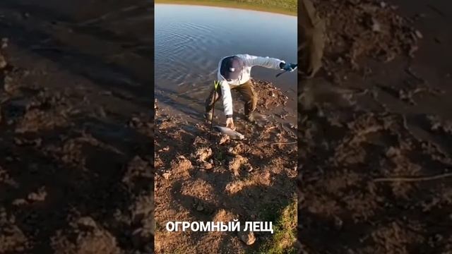 Самый большой Лещ в мире... смотреть онлайн