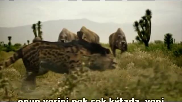 Brontotherium thunder beast . смотреть онлайн