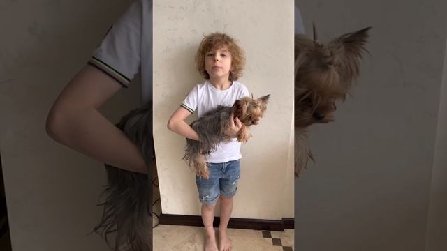 Стихотворение Сергея Есенина «Береза» смотреть онлайн