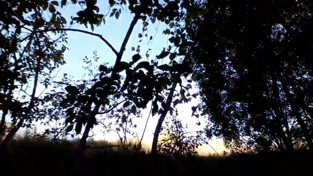 Деревенские наблюдения смотреть онлайн