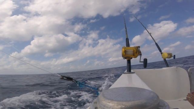 GREAT FISHING TOUR IN VARADERO - CUBA - смотреть онлайн