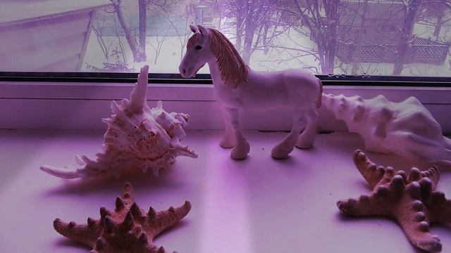 (РУБРИКА)...)Обзор на Шаера. Больно ли лошади когда тянешь за гриву. смотреть онлайн