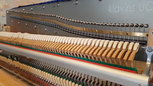 Bruno Sanfilippo playing 'Doll' on Una Corda Piano смотреть онлайн