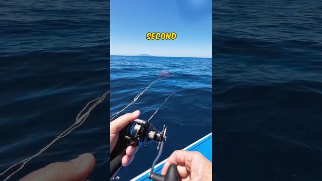 Correct way to fish a G Bomb💣fishing lure #fishing #anglinglife смотреть онлайн