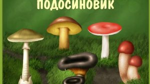 Изучаем грибы Какие грибы бывают Познавательный мультик игра