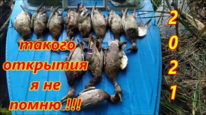 ОХОТА НА УТОК 2021г . (СТОЛЬКО УТОК Я В ШОКЕ).