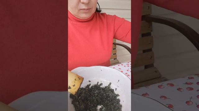 САЛАТ ИЗ КРАПИВЫ С ЯЙЦОМ И ОГУРЦОМ! 4 мая 2020 г. смотреть онлайн