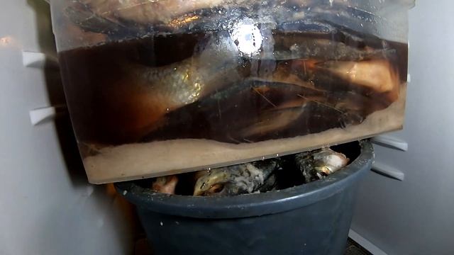 Лайфхаки для Путешествий