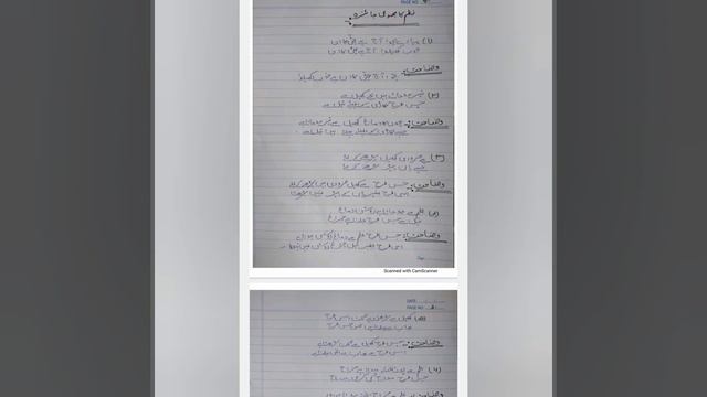 L-8 Urdu Lesson Plan For B.Ed смотреть онлайн