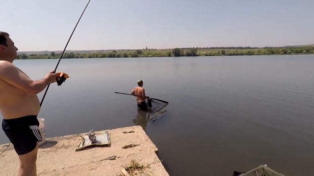 Вываживание белого амура! Амур на зиг-риг и со дна. Старт амура с обрывом лески! смотреть онлайн
