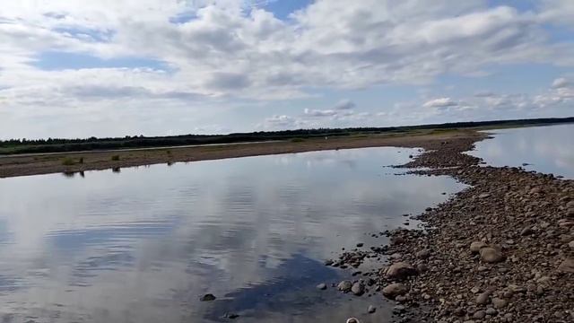 Колесниковы// Вот это трешак!!! // Полоумная грязнуля: жизнь без правил// Обзор видео// смотреть онлайн