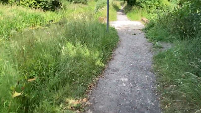 Royal Wootton Bassett - Templars firs section of the Wilts and Berks canal. смотреть онлайн