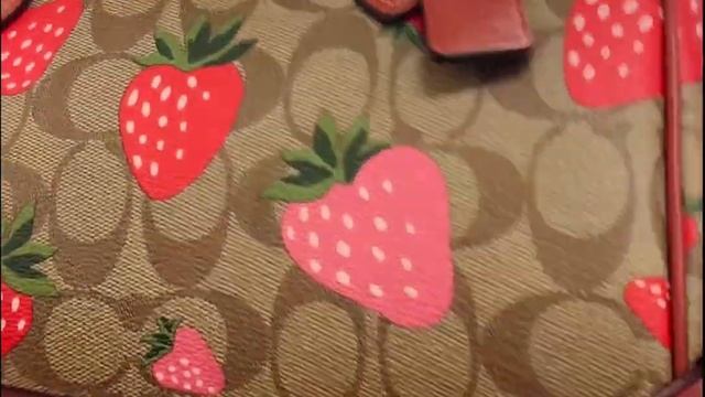 ?Coach Outlet Wild Strawberry Collection?New Rowan Satchel #coachoutlet #coach #coachny #handbags