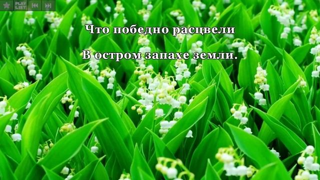 Аромат солнца - Константин Бальмонт | The Smell Of Sun - Konstantin Balmont смотреть онлайн