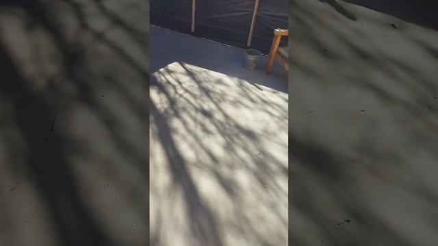 шлифовка бетонных полов