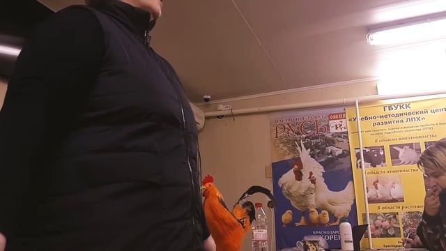 Обучение птицеводству смотреть онлайн