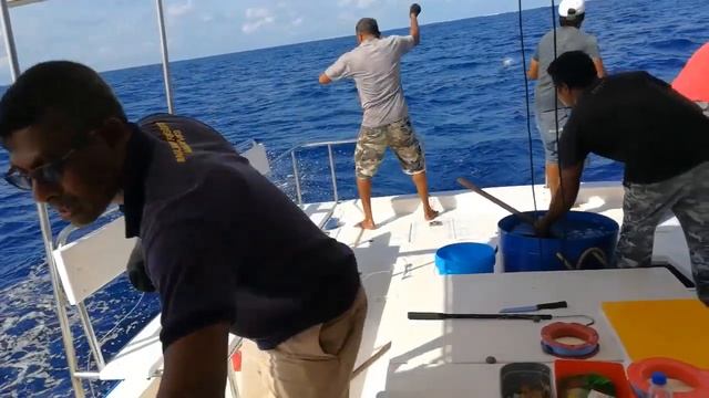 Yellowfin tuna fishing in Maldives, https://www.facebook.com/profile.php?id=100000563228122 смотреть онлайн