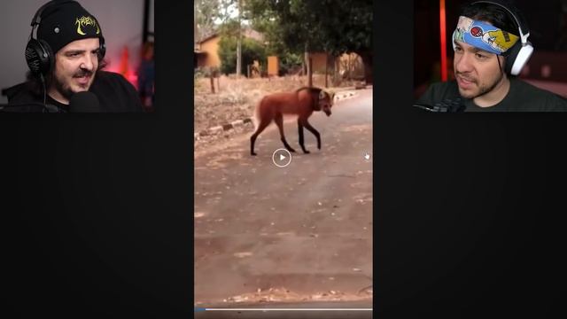 The SCARIEST Skin Walker Videos w/Mully смотреть онлайн