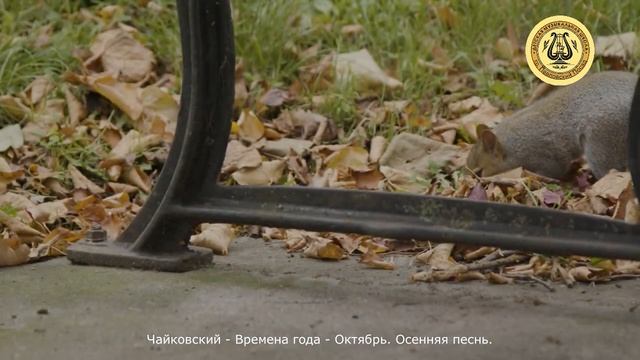 Чайковский. Времена года. Октябрь. Осенняя песнь. смотреть онлайн
