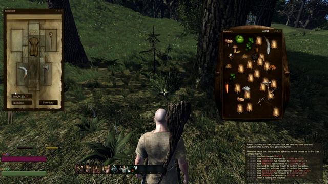 Life is Feudal (Первый взгляд) смотреть онлайн