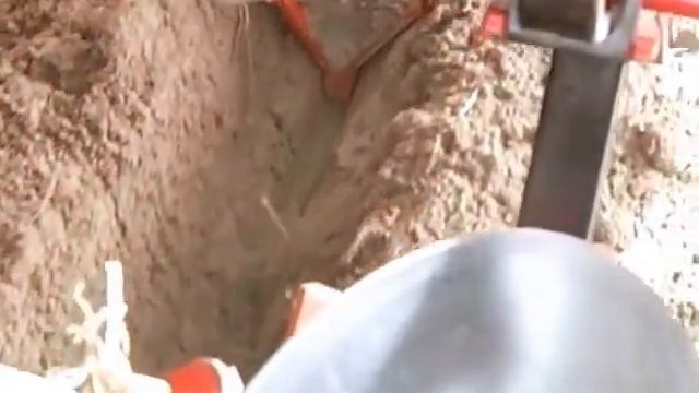 Spudnik Shoe #1.wmv смотреть онлайн