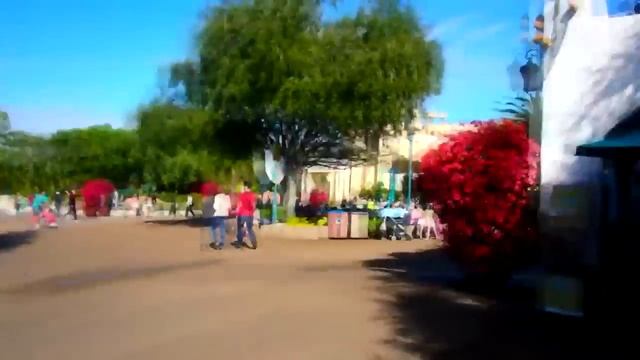 Зеленая Мурена обзор парка SeaWorld Orlando Florida 06.01.2015 смотреть онлайн