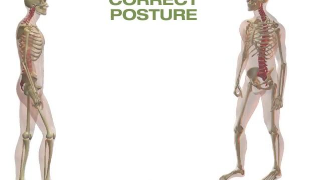 Manual handling - safe lifting techniques смотреть онлайн