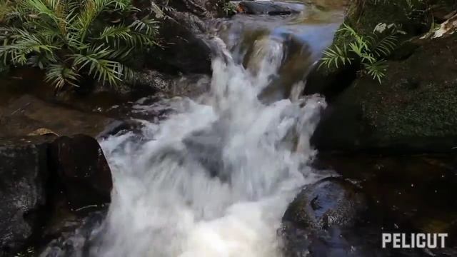 шум ручья , музыка природы , Белый шум.Медитация .brook noise, nature music, white noise.Meditation смотреть онлайн