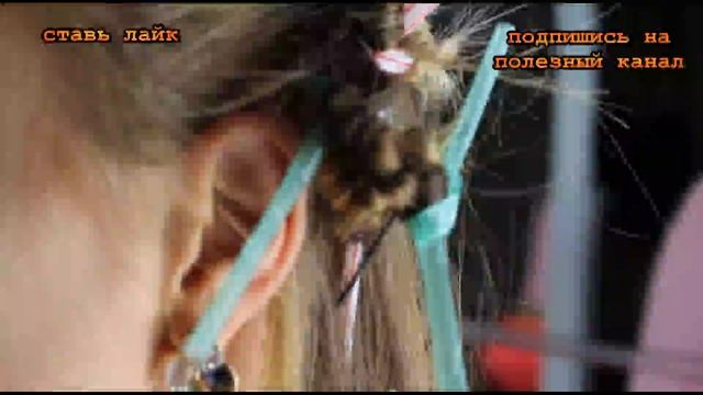 ★ Она наматывает волосы на 20 соломинок каждую ночь… И просыпается с ослепительно красивой завивкой смотреть онлайн