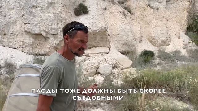 Экспедиция за травами в Меловые горы. Растения Эндемики Дона. смотреть онлайн