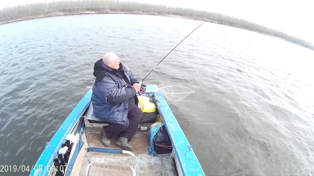 Харабали. Ахтуба. Весна 2019 г. Хорошая щука. смотреть онлайн