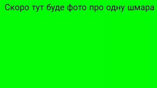 Шлюха Польща смотреть онлайн