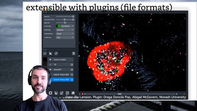 napari: an n-dimensional image viewer in Python (Vis2021) смотреть онлайн