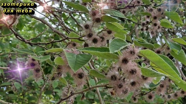 3 фразы, которые нужно услышать людям, которым за 60 лет. Важные советы о счастливой старости смотреть онлайн