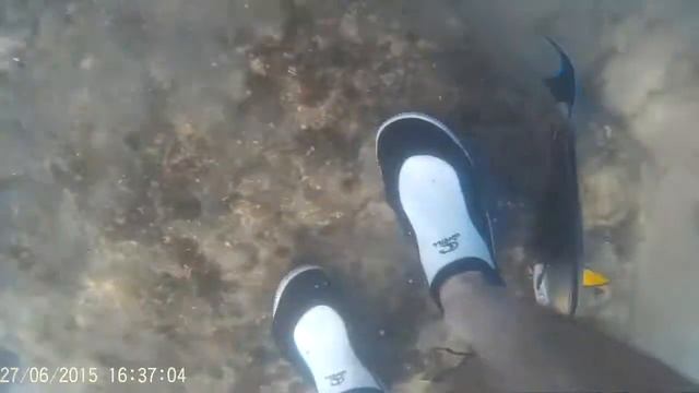 Рыба хирург Съемка под водой смотреть онлайн