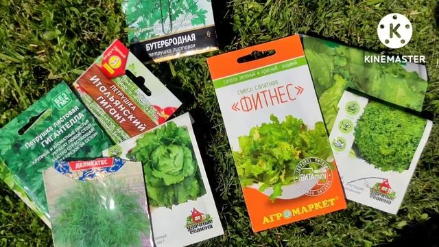 Дачный влог: собираем урожай, продолжаем ремонт, варю варенье...! ?? смотреть онлайн