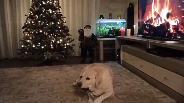 Для новогоднего настроения!!! (без рекламы) смотреть онлайн