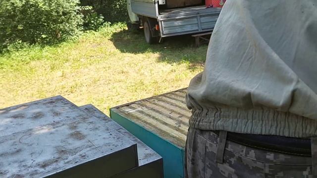 Результаты работы на липе. 04.07.2021 смотреть онлайн