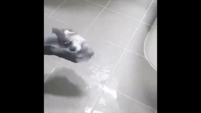 Silicone Rubber Dish Washing Gloves /Aliexpress смотреть онлайн