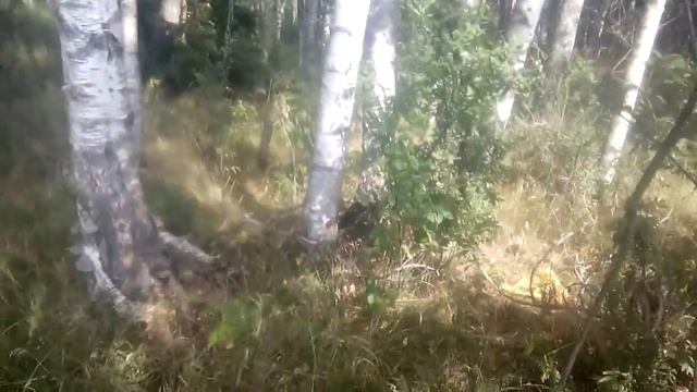 Начало Москва реки смотреть онлайн