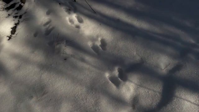 Река Нягань - Юган в ноябре смотреть онлайн