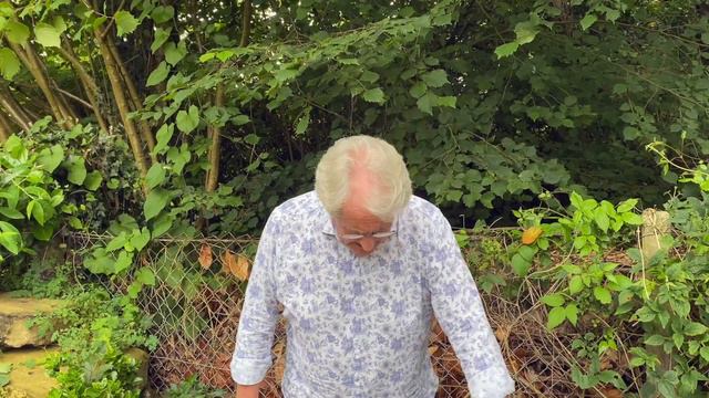 HOW DOES A DEAD HEDGE WORK? смотреть онлайн